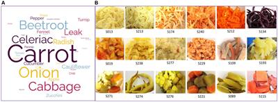 Microbial communities of a variety of 75 homemade fermented vegetables